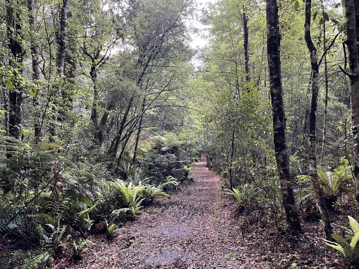heyitsgeorg's tweet photo. Breathe in fresh air, exhale stress. #MoveOutside https://t.co/OqLLKz1MdE