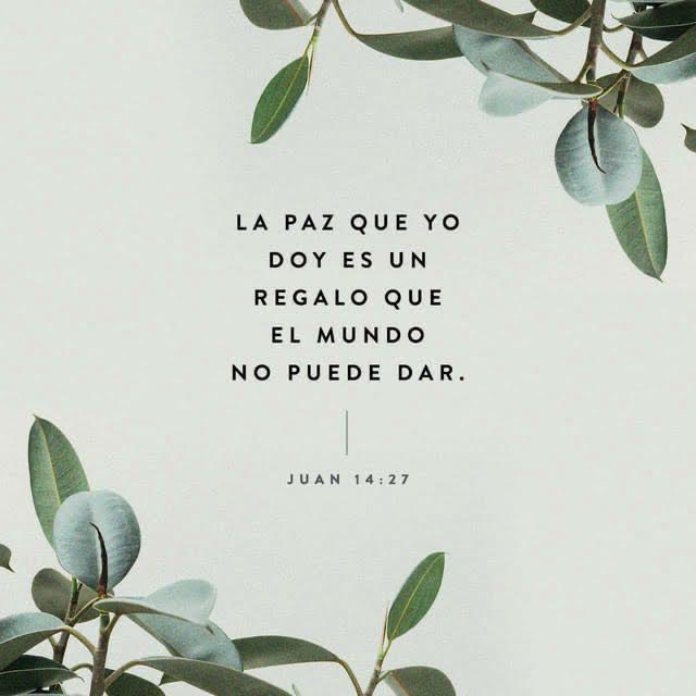 DA_1844's tweet photo. La paz os dejo, mi paz os doy; yo no os la doy como el mundo la da. No se turbe vuestro corazón, ni tenga miedo. https://t.co/JFwIu1mddM