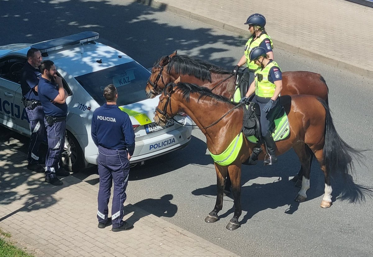 IvarsForands's tweet photo. Skaisti tie @Valsts_policija zirgi!! #police #horses #zirgs #zirgi #policija https://t.co/5JBQobb0GS