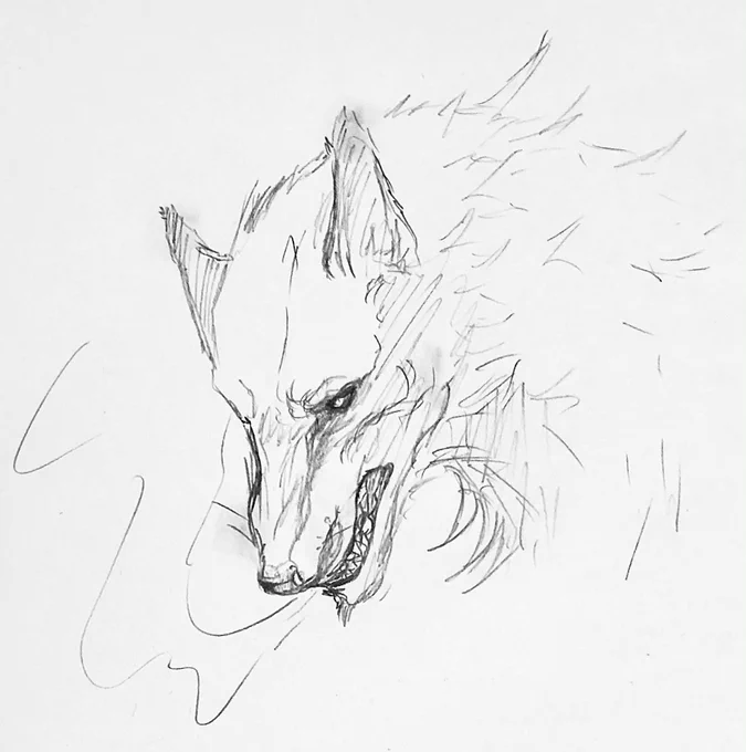 狼