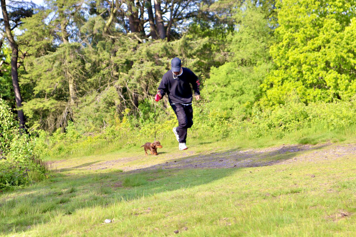 DeftExtra's tweet photo. Didn’t give a shit about the hike as soon as I realised a dog was coming https://t.co/j7K1zl13Iz