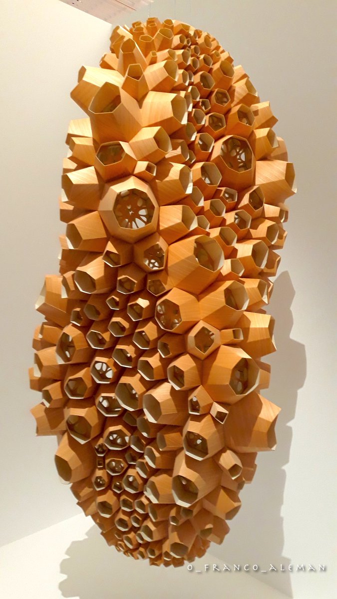 Andrew Kudless

Chrysalis III
(2012)

(vu au Centre Pompidou Metz #Lorraine)

#art #arte #design
#sculpture