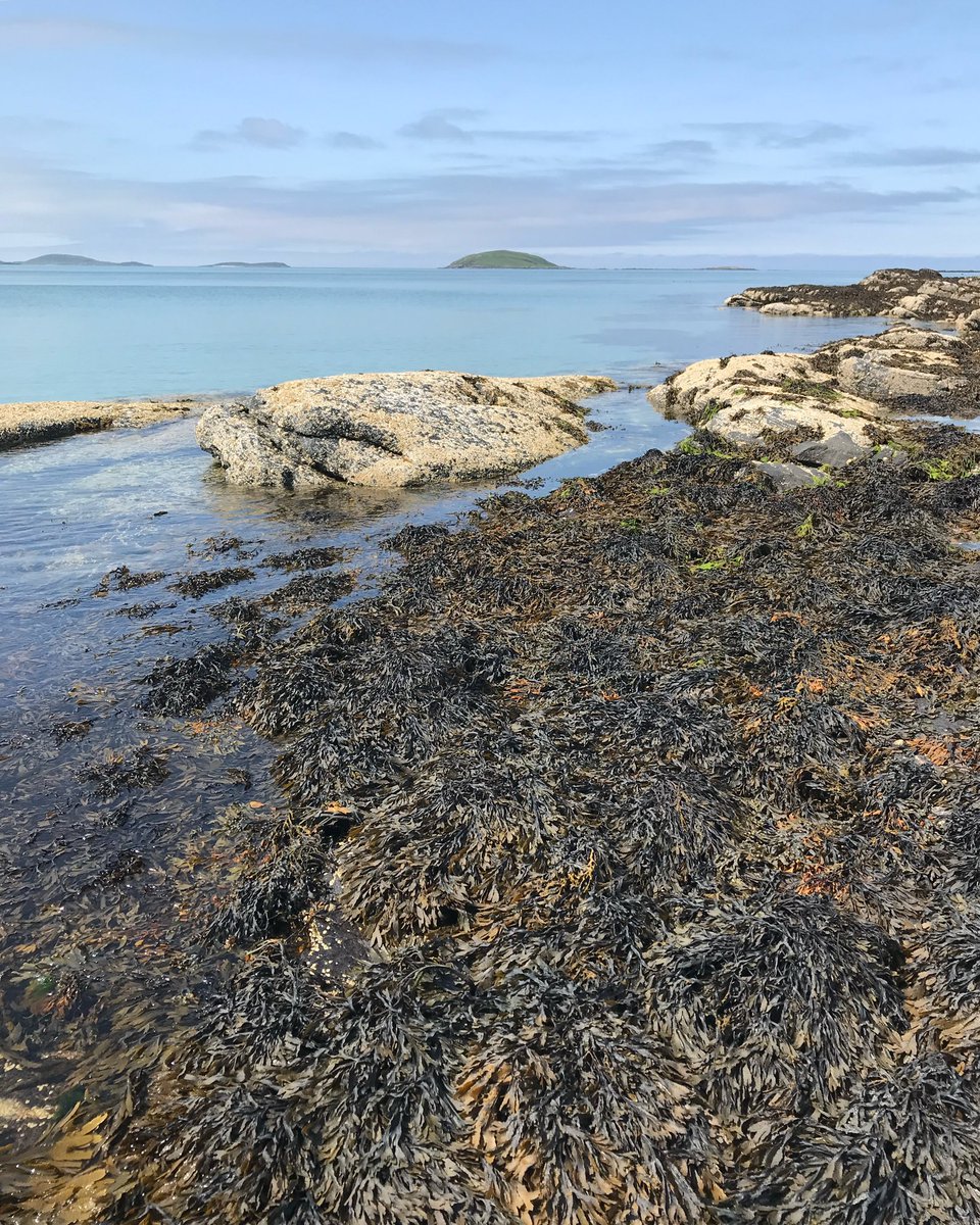 Eriskay. At the edge of the world.

#scottishislands #hebrides #outerhebrides #westernisles #scotland #lovescotland #visitscotland #scotlandphotography #andydrane