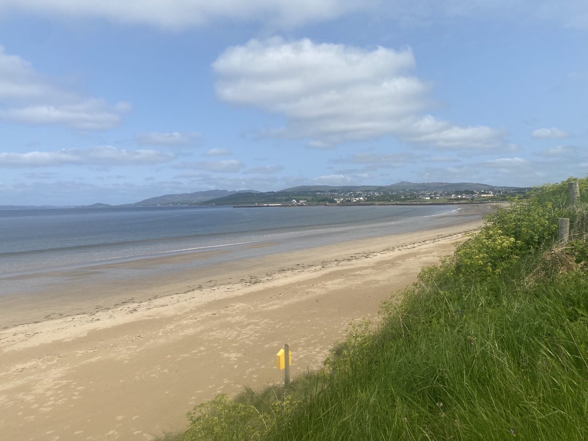 Teresa Mannion tweet media