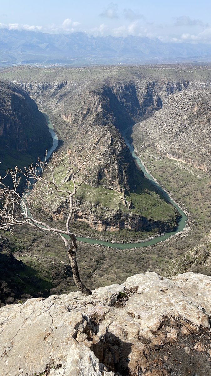 WAAR GMS (@godarmamo) on Twitter photo 