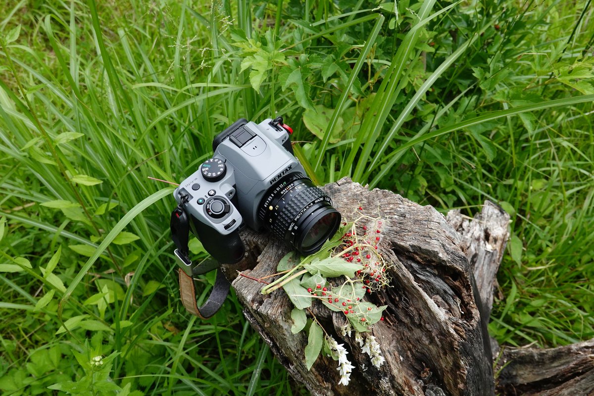 emiripapas's tweet photo. KFとsmc PENTAX-A 50mmF2.8の組み合わせ。このラジアルタイヤみたいなルックスがKFによくマッチします。
切り株に子供が置いていったと思われる花と一緒に。
https://t.co/HeyDEUY0A1 #KAZAL #PENTAX https://t.co/O8uiyHwNMR