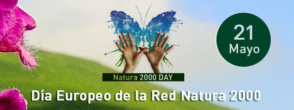 SEO/BirdLife (@seo_birdlife) on Twitter photo Este año centramos #Natura2000Day en el agua💧, los embalses y la necesidad de cambios en su gestión. 🦋¡¡Súmate a hacer el gesto de la mariposa!!
ℹ️ seo.org/embalses-en-re… Este año centramos #Natura2000Day en el agua💧, los embalses y la necesidad de cambios en su gestión. 🦋¡¡Súmate a hacer el gesto de la mariposa!!
ℹ️ seo.org/embalses-en-re…