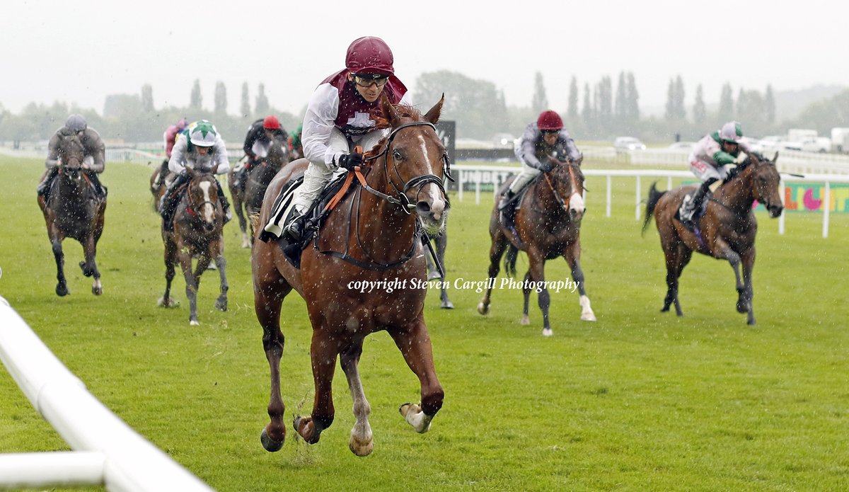 Steven_Cargill's tweet photo. 2nd start and at 150/1, colt ZOULU CHIEF @linusghiani99 wins 6f 2yo maiden @NewburyRacing on Friday for @Tweenhills Zoustar @RacingHeather with @HenryMain3 yelling him home. https://t.co/GTjXYJ8fwL