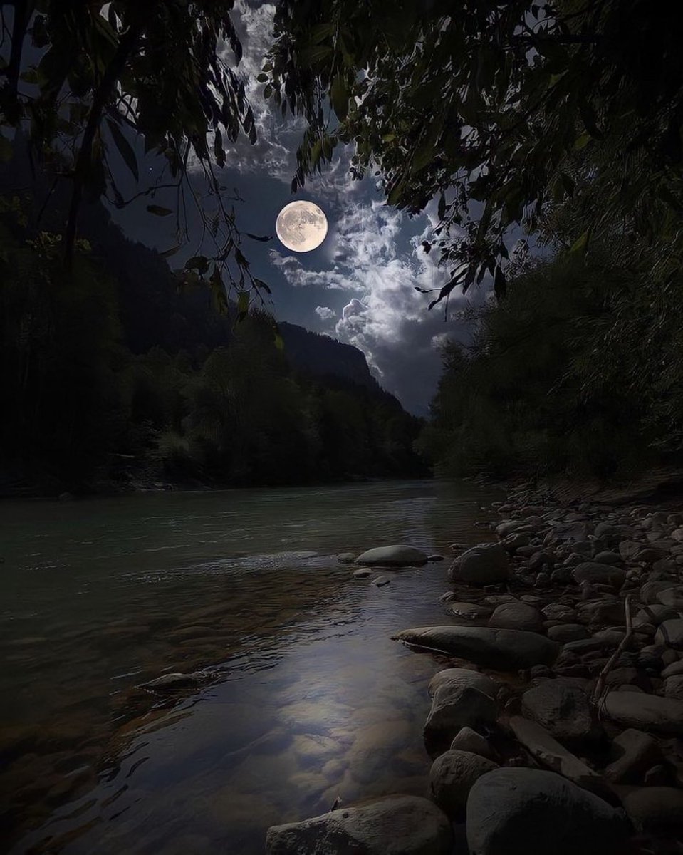 M1ONLOVER's tweet photo. Full moon and nature https://t.co/FiydfAd6wE