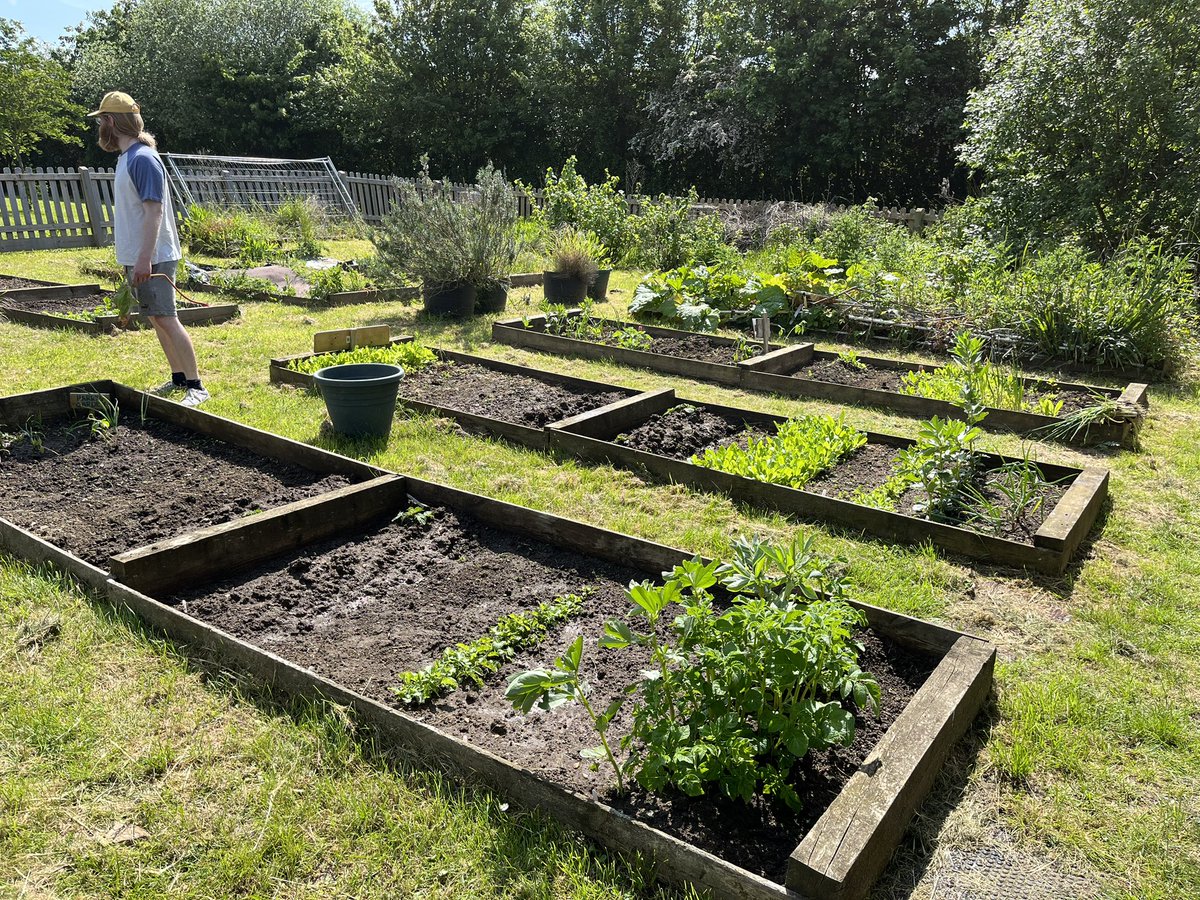 Mead Outside tweet media