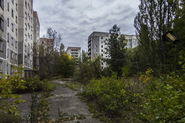 winterthro_ne's tweet photo. Пока телефон жив, я буду тут. Точнее, и тут тоже. Но на всякий случай тяните ЛЭП на мою Вторую Очередь. https://t.co/0TlPioqSfQ
