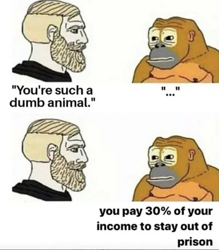 IRS_erc20's tweet photo. #Memecoins are hard... Waging is harder. Something's cooking for our $IRS apes. 🦧

#ETH #Crypto 

$REFUND $PEPE $WAGMI https://t.co/KUAANITjGD