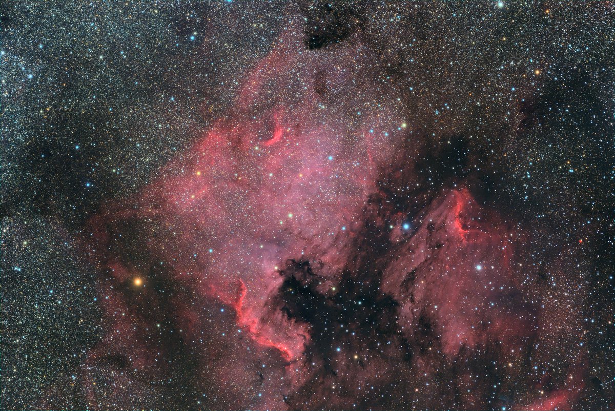 NGC7000＆IC5070
縦横とっかえひっかえ撮ってますが、どちらも趣あってよいですね☺️

FRA400(280mmF3.9)
ASI2600MCP Gain100
300sec*50seb

#Astrophotography
#Northamericanebula
#北アメリカ星雲