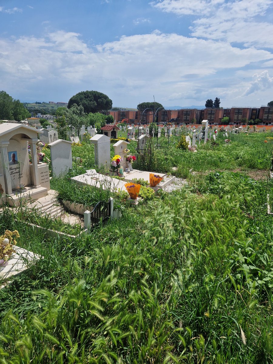 Cimitero prima Porta...vergogna 😡
<a href="/Roma/">Roma</a> <a href="/gualtierieurope/">Roberto Gualtieri</a>