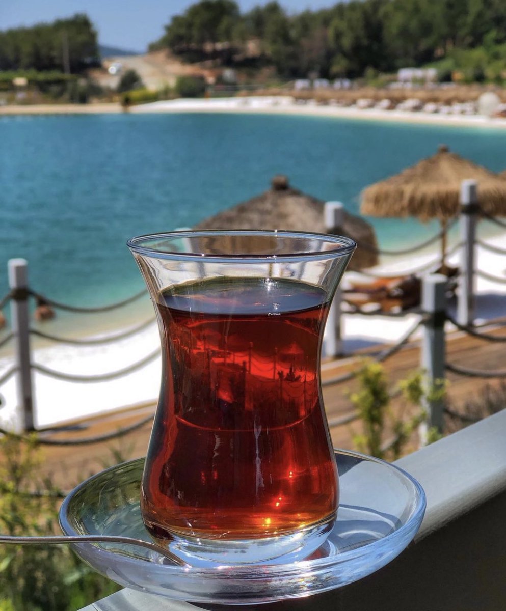 Happy #InternationalTeaDay 🫖

The culture of tea practised in both #Türkiye and #Azerbaijan was in 2022 added to @UNESCO’s #IntangibleCulturalHeritage list, recognised as a symbol of 'identity, hospitality and social interaction'.

#MyPhoto