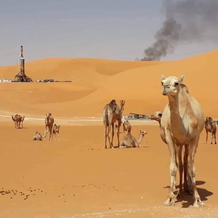minochere's tweet photo. « Quand je contemple les étoiles dans le Sahara, je ressens une profonde connexion avec l'univers infini qui m'entoure. » – Isabelle Eberhardt
#photo village #bour #ngoussa #Ouargla..et #Hassi_messaoud.. https://t.co/XqkYPr5yr3