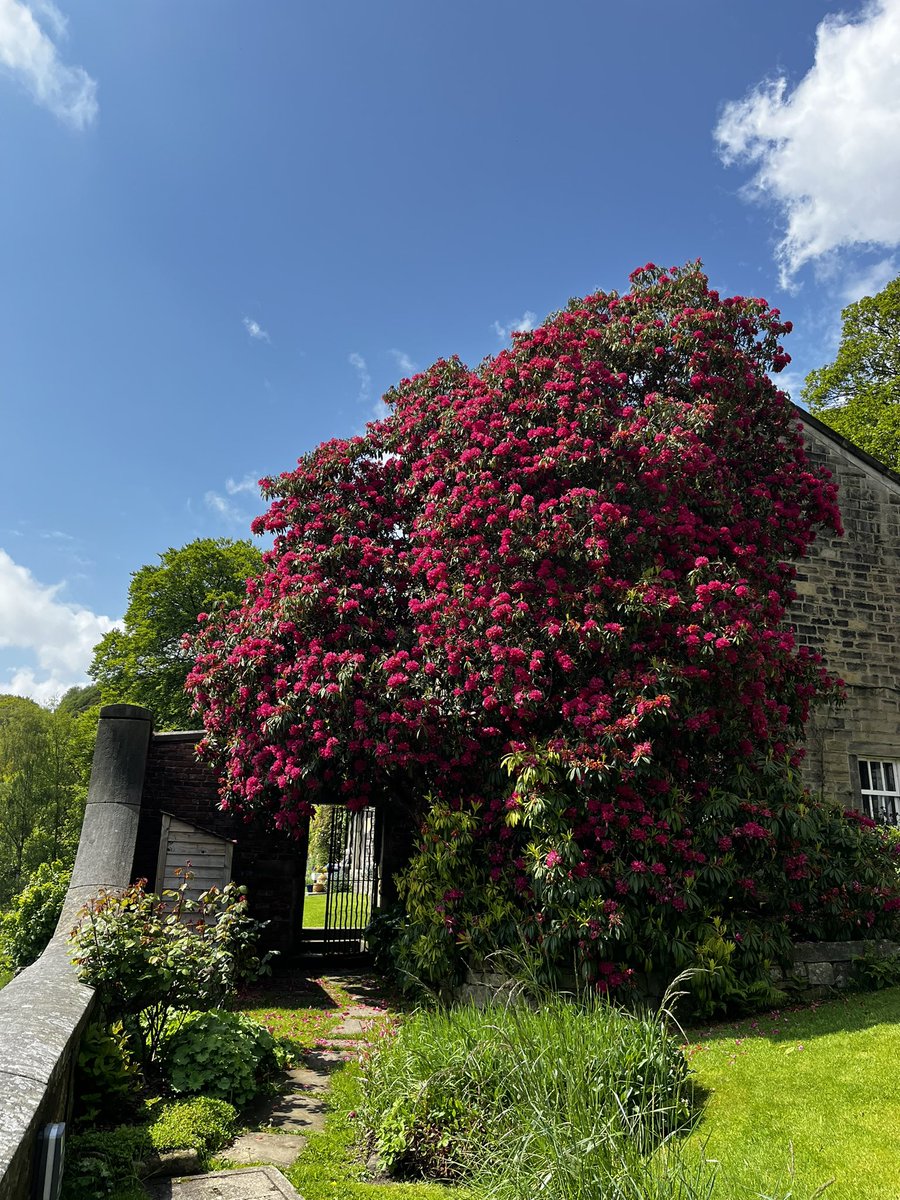 RebeccaSLewis's tweet photo. Back from an invigorating week with @arvonfoundation. We had a wonderfully supportive and playful group, fostered by @CaroBrothers &amp; @tobylitt.

Now to go through my pages of notes and ideas! @Lumb_Bank in May will always have my heart. https://t.co/f4suSapF5L