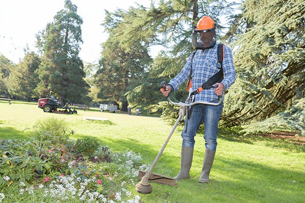 Thinking about picking up a Petrol Strimmer but not sure where to start? Check out our explainer first..  #DIY #Tools #Review - ift.tt/yGhnxHY