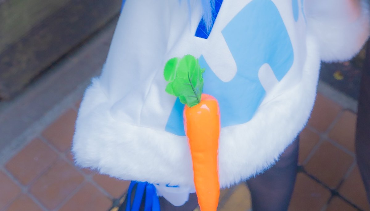 いただいた写真見返してたんだけどにんじんポッケから逃げ出して浮いたまま撮られててめちゃくちゃ笑ってるwwww