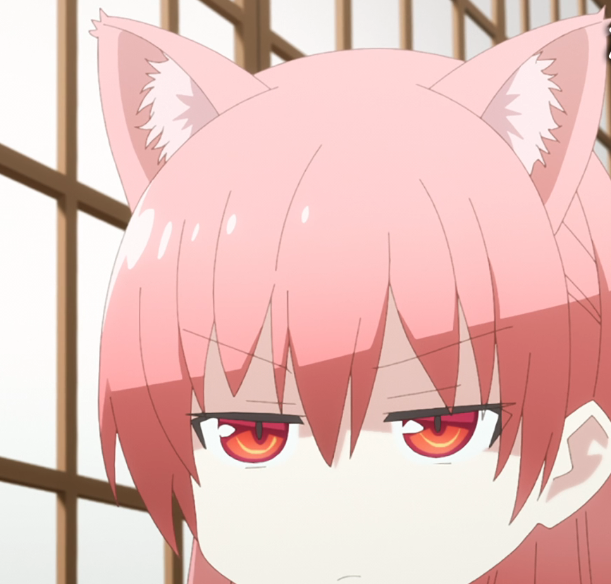 Stelpha ステルファ 🇯🇵🇨🇿 tweet media