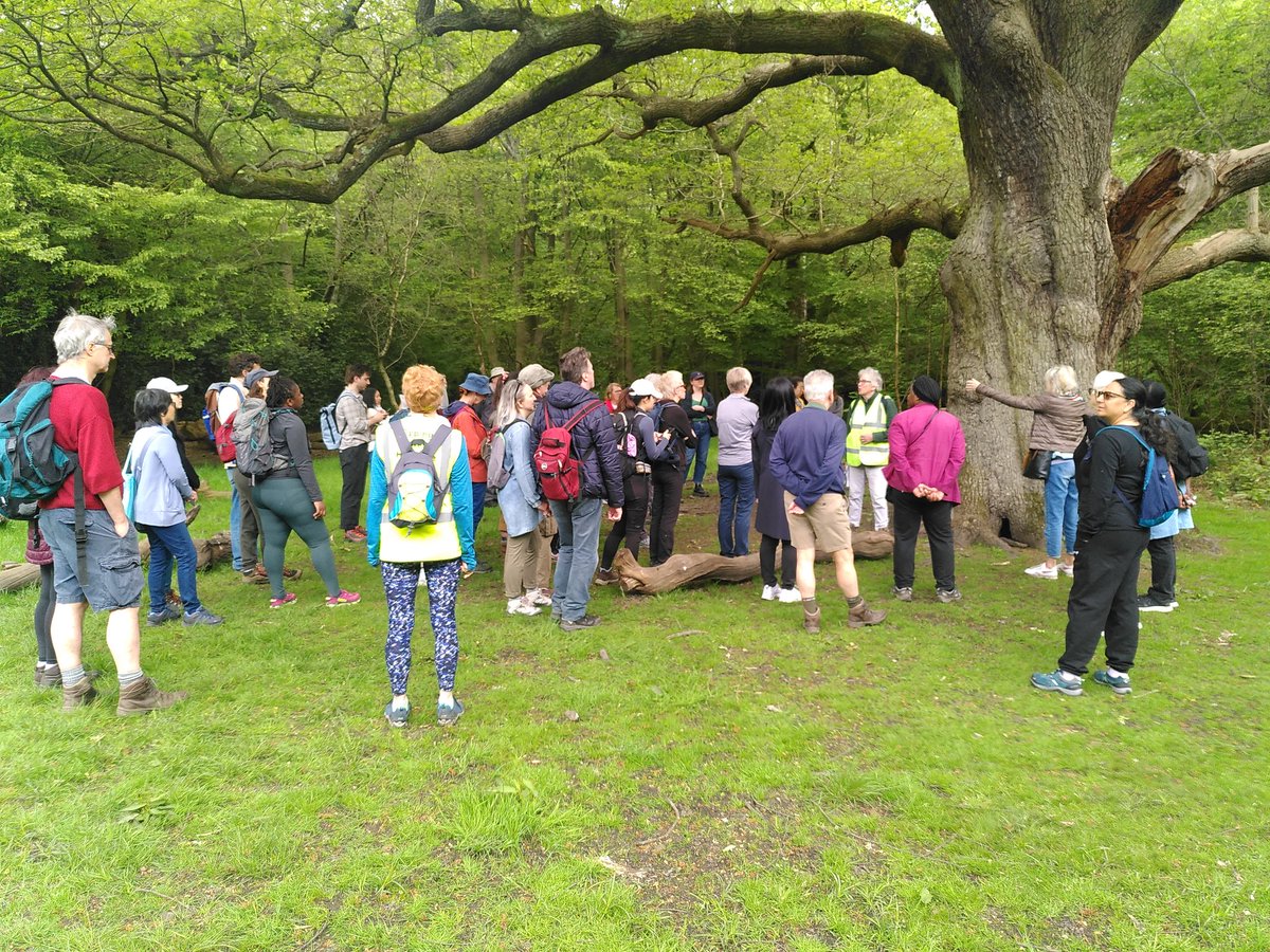EppingForestHT's tweet photo. Our amazing Chair, Judy Adams leading a walk in #EppingForest around Chingford Plain & the surround #forest.
Fantastic ancient #trees & #pollards
Part of the fantastic @UrbanTreeFest https://t.co/6lUfNCD80X