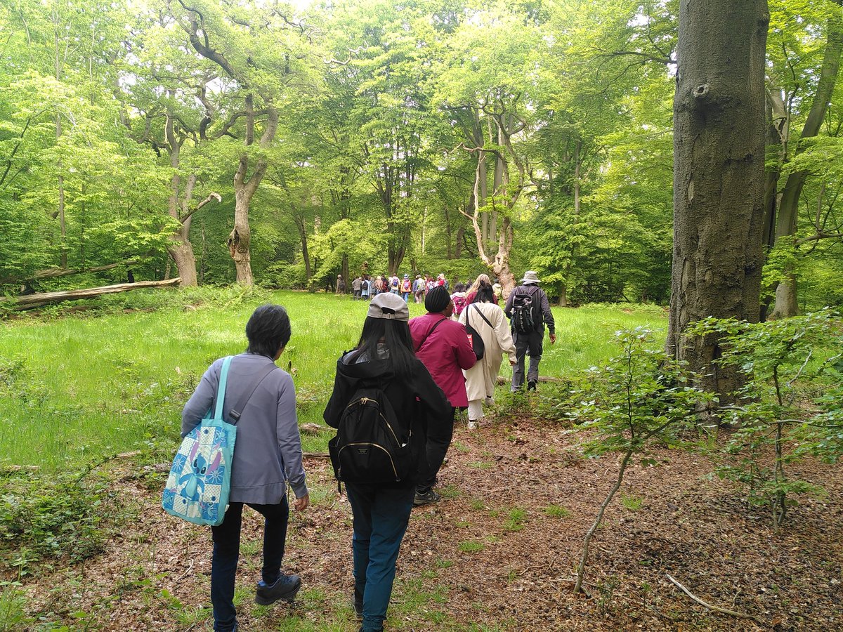 EppingForestHT's tweet photo. Our amazing Chair, Judy Adams leading a walk in #EppingForest around Chingford Plain & the surround #forest.
Fantastic ancient #trees & #pollards
Part of the fantastic @UrbanTreeFest https://t.co/6lUfNCD80X