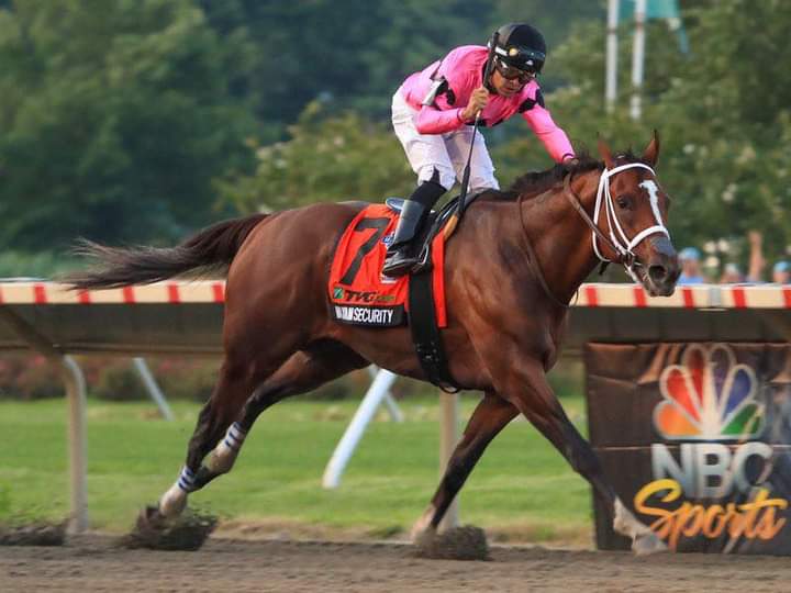 marspenny69oo's tweet image. Day 21 of #MaximumSecurity Month