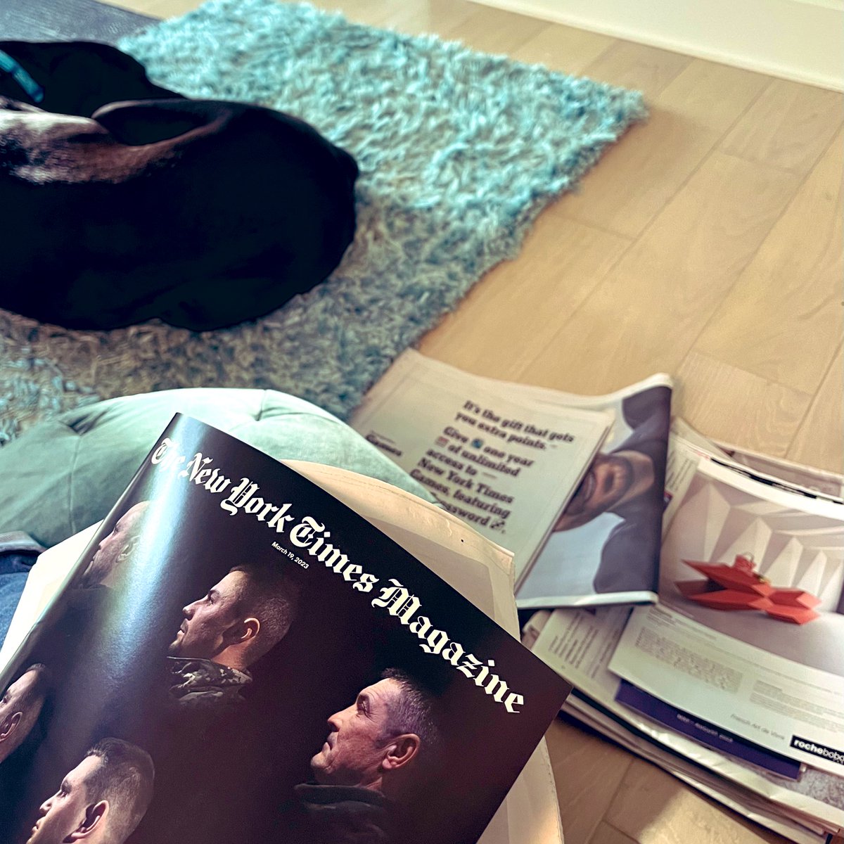 seymourvox's tweet photo. Me and Hoover (Great/Lab) plod through the pile of yesterdayโs news. Twice a year at the end of the semester I can catch up on reading, and dazzle those in my orbit with dated anecdotes and opinions. #NYTimes #professorproblems #greatdanes #rescuedogsrock https://t.co/tRXGqz6pOm