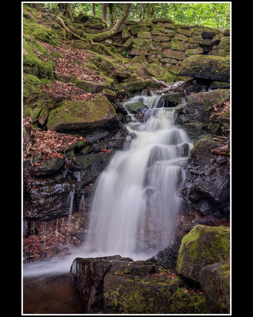 TimFPindar's tweet photo. Cleddon Falls, in the Wye Valley. A very pretty waterfall that has lots of separate falls, but it’s a scarily steep hill so I didn’t go down very far!

#timpindarphotography #canon #canonglobal 
#mycanon #nisiuk #wyevalley #woodlandphotography #woodlandh… https://t.co/MZPaVIRdYx https://t.co/814rIAYTrL