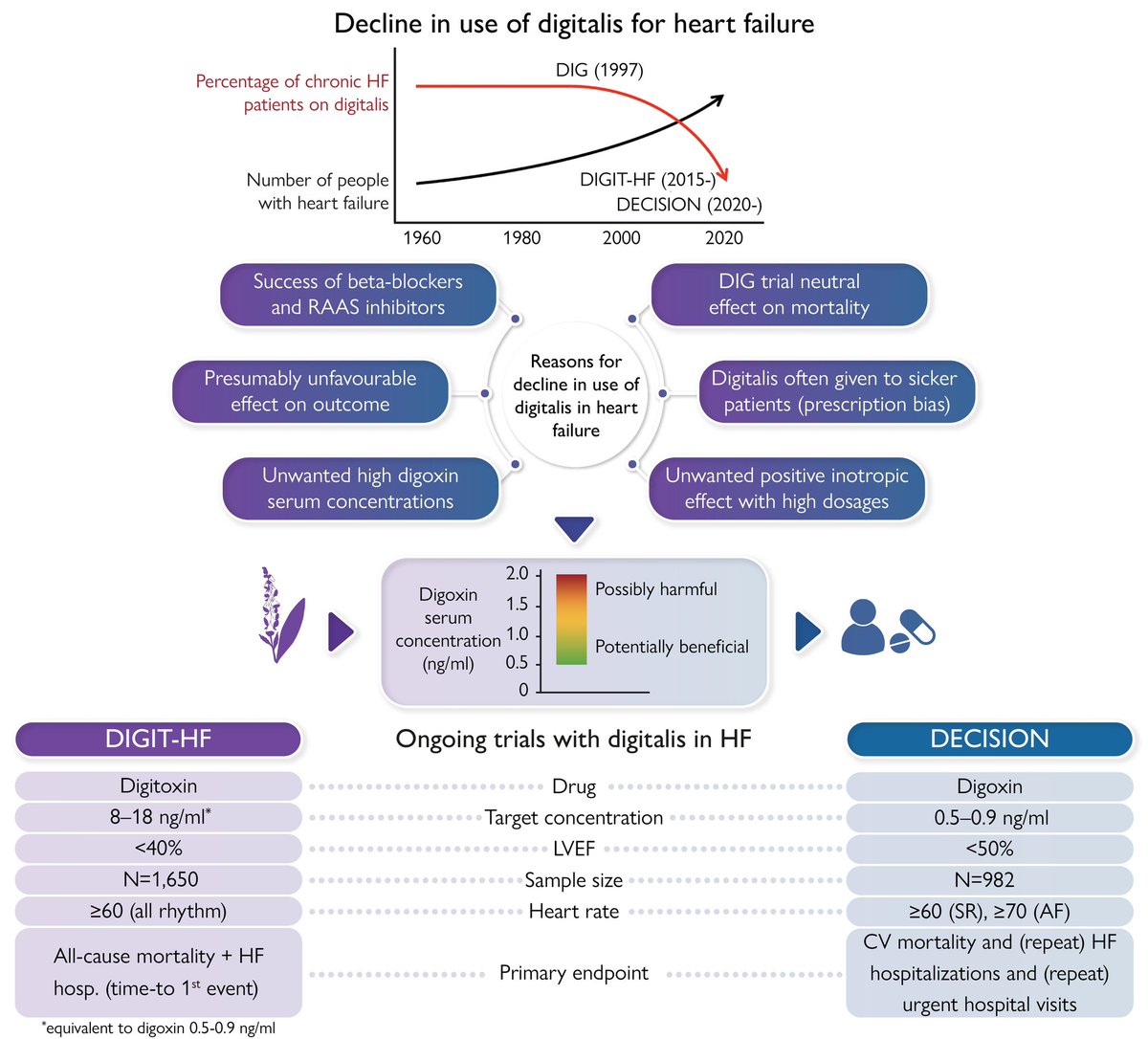 Digitalis in heart failure: declining use and ongoing outcome trials

Veldhuisen & Bauersachs @ EHJ @ESC_Journals 

well summarized in graphical abstract

@pjsm83 @mencardio @mspartalis5 @FH_Verbrugge @CSHeartResearch @lFa1d @Ahmed43101178 @KSharmaMD @iamritu @HanCardiomd…