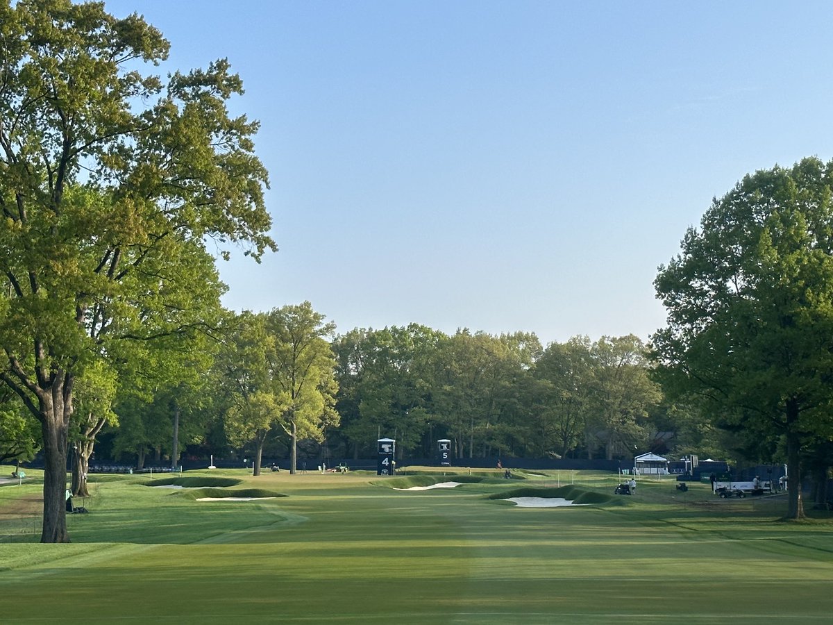 Andrew Green tweet media