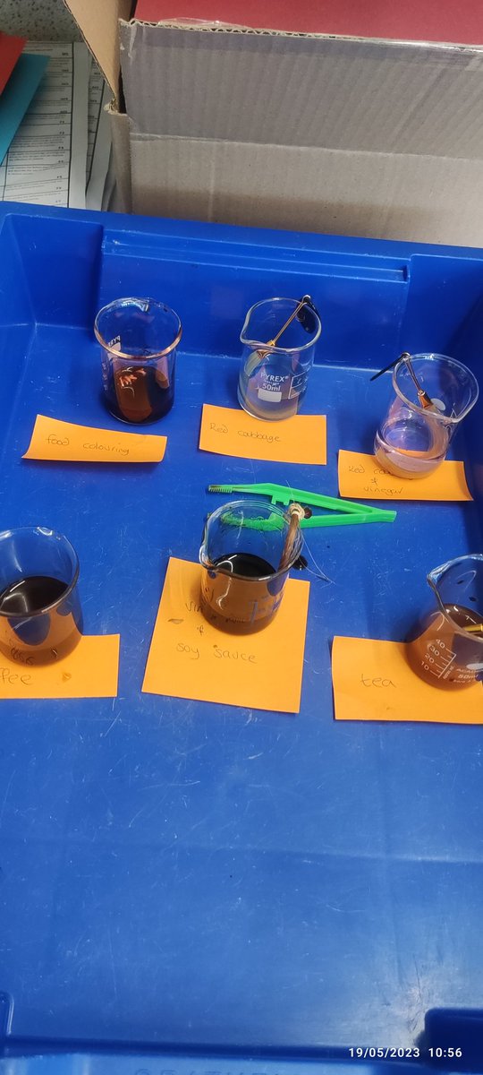 ClywedogScience's tweet photo. Year 7 are investigating natural hair dyes as part of our Just The Job unit. https://t.co/Rel1YUPihs