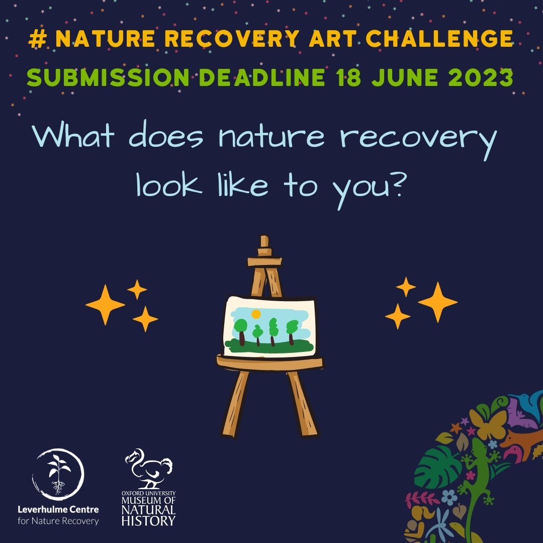 🦋 Calling all artists! #ConservationOptimism, in collaboration with the Leverhulme Centre for @NatureRecovery & @morethanadodo, is thrilled to announce a captivating public art competition! The prompt is simple, but profound: What does Nature Recovery look like to you?