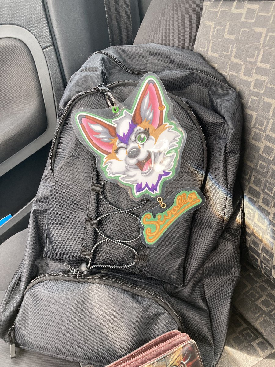 Sivalla1's tweet photo. I was on my first Suitwalk yesterday in Passau, Bavaria.
Being a spotter was a really fun experience! It was great to meet so many new Furrys π
And a big thanks to @BouncerDemon who took me and the organizers!
I'm really looking forward to the next time π
#PSW2 https://t.co/iW1t4oVRH3