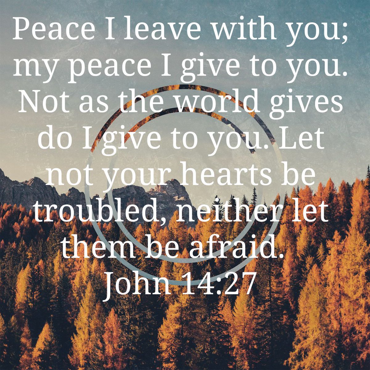 GodFirstNation's tweet photo. Peace I leave with you; my peace I give to you. Not as the world gives do I give to you. Let not your hearts be troubled, neither let them be afraid.
John 14:27
#MentalHealthAwarenessMonth https://t.co/3HTGslUYFC