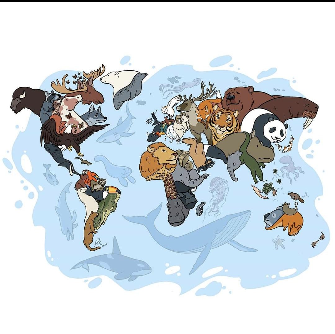 theepicmap's tweet photo. Animals Of The World Map https://t.co/bfgtQ4I2aj