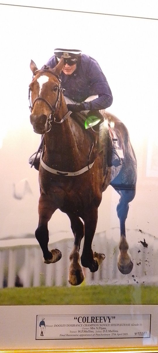 In the <a href="/OldGroundHotel/">Old Ground Hotel</a> in Ennis before <a href="/MunsterGAA/">Munster GAA / Comhairle na Mumhan</a> SHC Game. Great photo of the brilliant mare COLREEVY winning her final race <a href="/punchestownrace/">Punchestown</a> under <a href="/dan2231/">Danny Mullins</a> in 2021 Grade One Dooley Insurance Novice Chase.  Her half sister OLD GROUNG won on debut at Clonmel last week 
#GAA