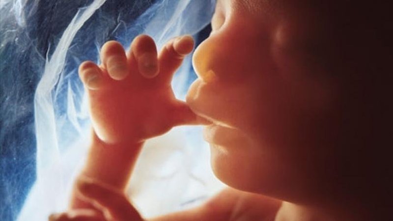 freemonotheist's tweet photo. God says, 'Do not kill your children for fear of poverty. We provide for them and for you. Surely killing them is a heinous sin.' ~ Qur'an 17:31 https://t.co/rnrLgWLWNU