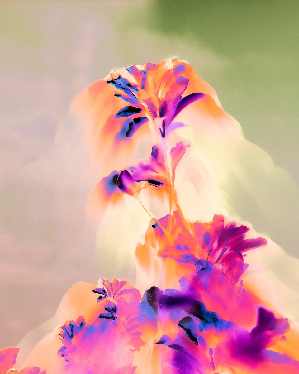 pali (they, them) 🏳️‍⚧️ tweet media