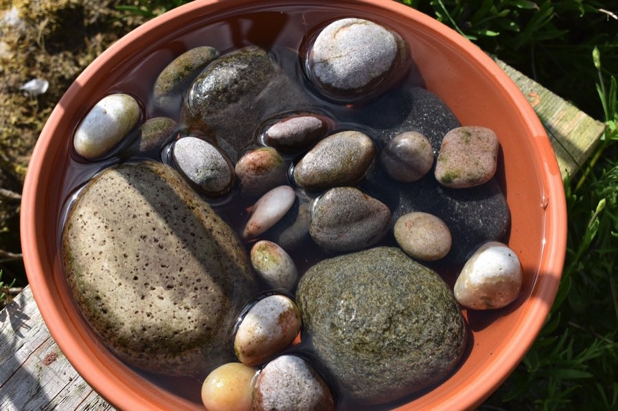 With warmer weather forecast, help wildlife by providing water for drinking and bathing. Bees need to drink too - many natural water sources are too deep or fast-flowing for insects, so a bee bowl could be a real lifeline.
More ideas: bit.ly/42TSmM0
#nature #pollinators