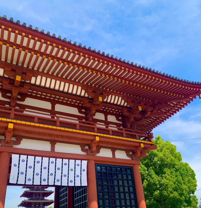 四天王寺さんとハルカスと寿司!!!! めちゃくちゃ良い天気で大阪観光満喫!! ハルカスの展望台めちゃくちゃ高くて見晴らし最高でした!こりゃあスカイツリーも行かねば!!!寿司おいしーーー!!!
