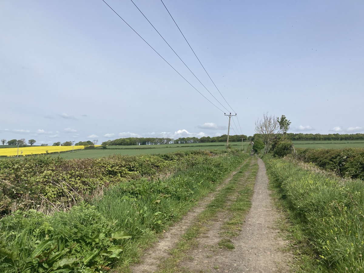 drspjohnson1's tweet photo. @RobGMacfarlane That’s so true.  These are some of the paths from this weeks walk along the #JohnMuirWay.

The Way feels like Scotland’s ribbon of nature, connecting wildlife with history, and industry with the environment.  And these are the paths that narrate the story.

#LivingScotland https://t.co/lFWvGJg7TO