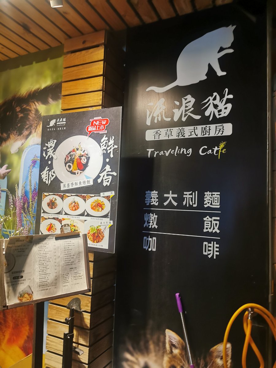 thewarmdragon's tweet photo. 流浪貓從未將和臥龍曬場連名合作啦～即日起至6/30號，凡在臥龍曬場消費，即可換取流浪貓手機吊飾1枚。數量有3款，隨機出貨喔！ https://t.co/hnwKTGgOlq