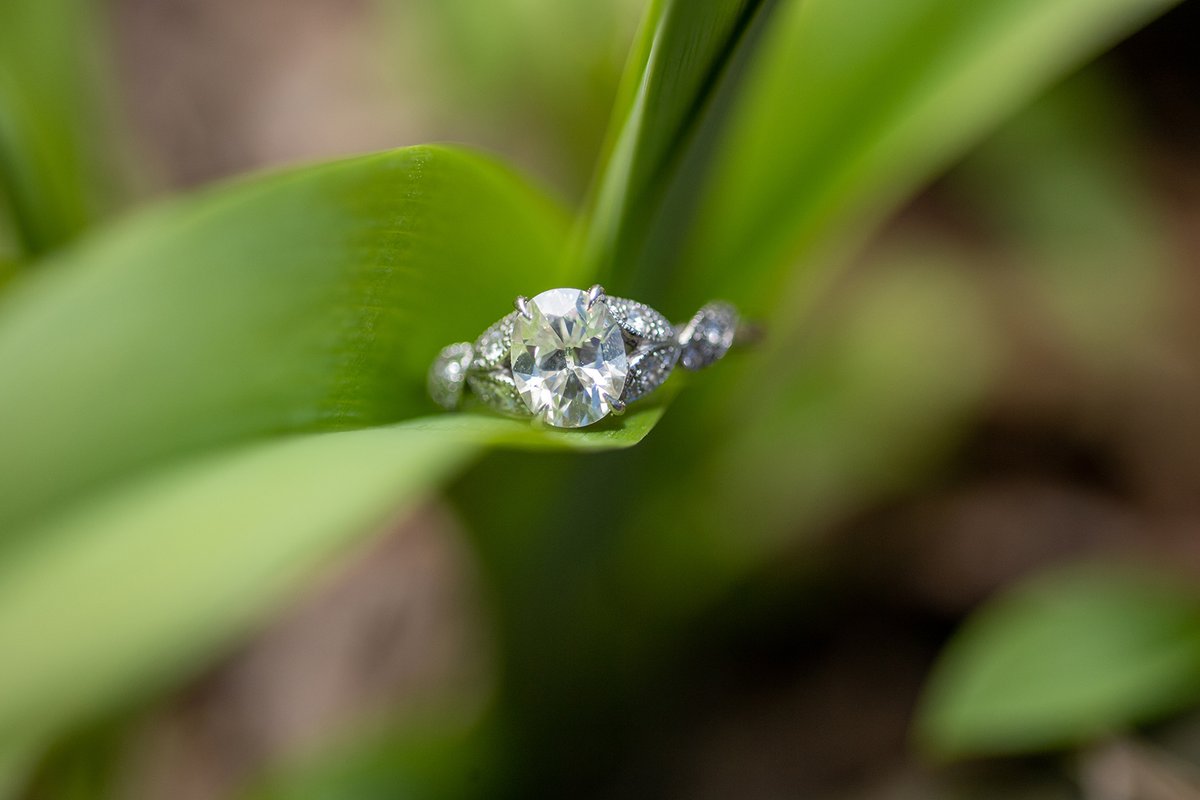 Check out that depth of field! #withyourmemoriesinmind #engagementphotographer