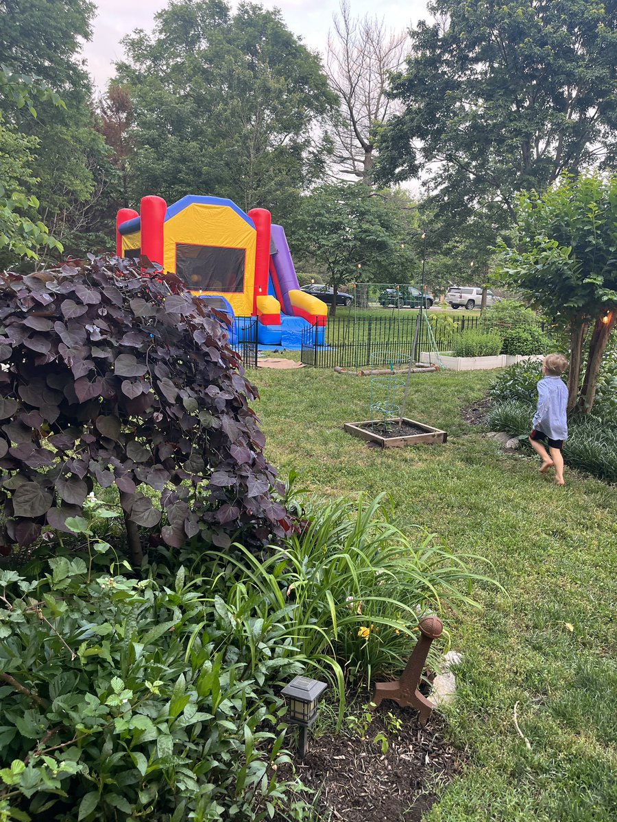 Carmen C Solorzano (@carmensolcar) on Twitter photo Celebrating our surgery chiefs @VUMCSurgRes <a href="/TheRealDrBailey/">christina bailey</a> @VUMCSurgery <a href="/VUmedicine/">Vanderbilt School of Medicine</a> bouncy house included! Celebrating our surgery chiefs @VUMCSurgRes <a href="/TheRealDrBailey/">christina bailey</a> @VUMCSurgery <a href="/VUmedicine/">Vanderbilt School of Medicine</a> bouncy house included!