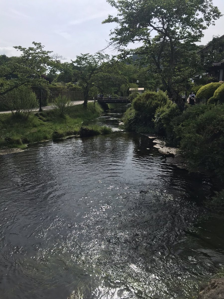第二次来到忍野八海，看到壮丽的富士山🗻