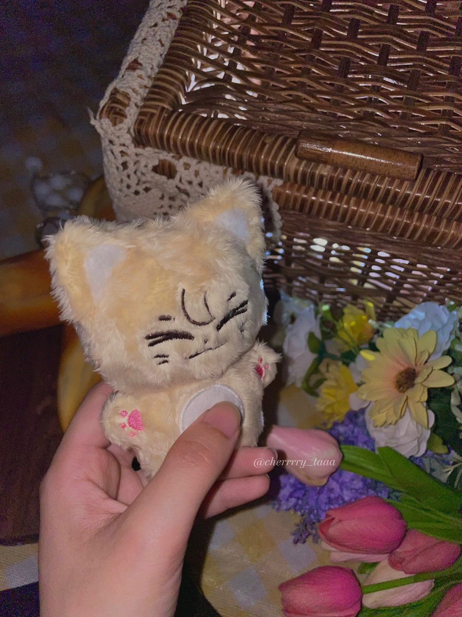 cherrrry_taaa_'s tweet photo. 🦁 네코모토 라이윹 5.26 pm 10:00~ 𝘾𝙤𝙢𝙞𝙣𝙜 𝙨𝙤𝙤𝙣 🐱

폼 일정등의 자세한 사항은 24일 수요일에 업로드 됩니다 ☆

#NCT127  #YUTA https://t.co/J8BVTDZMaR