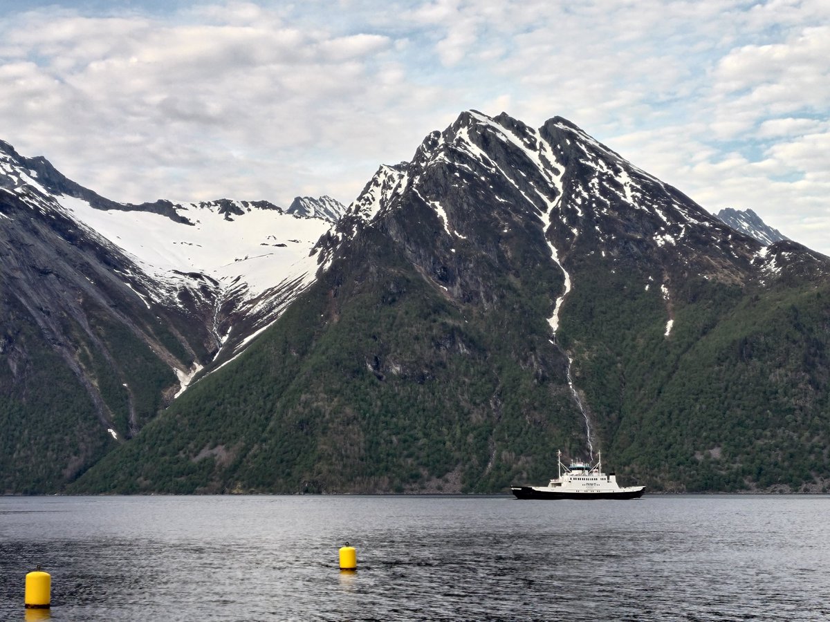 Stefano Bonaglia tweet media