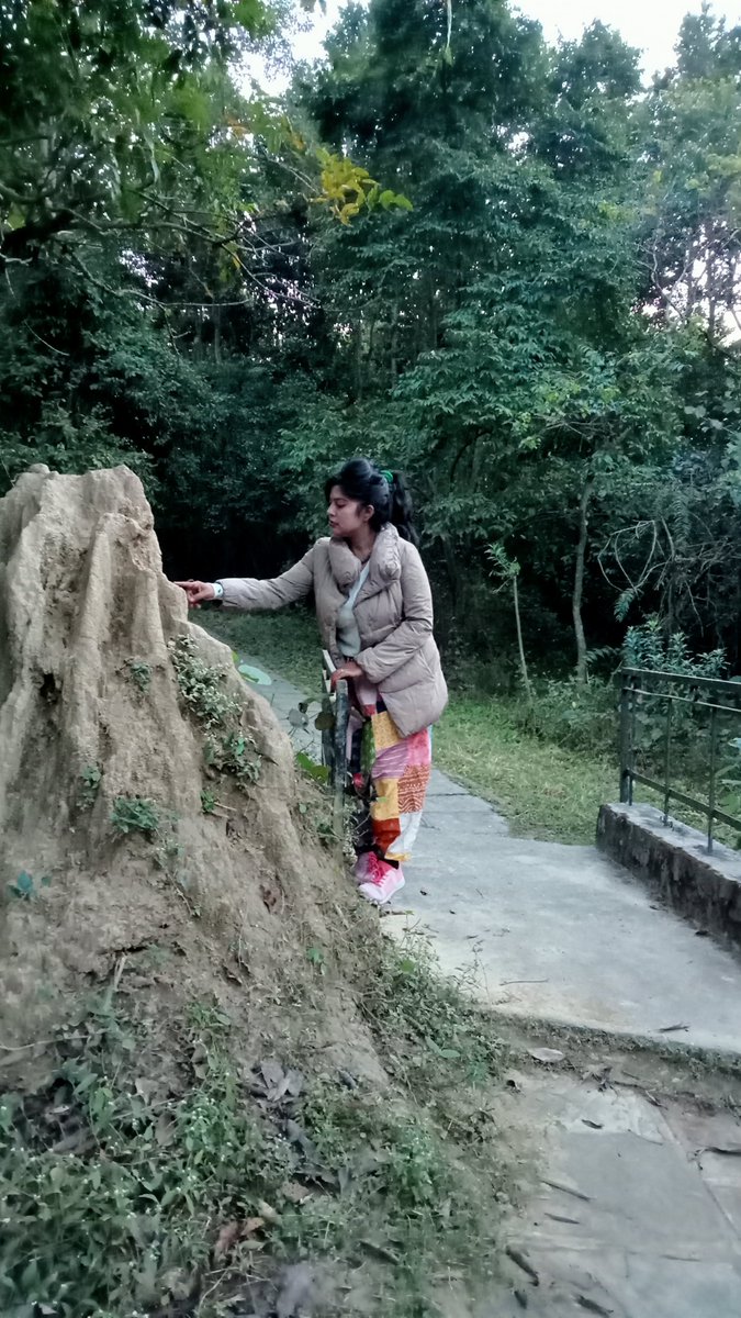 DrShilpaPandey1's tweet photo. Incredible TermiteMounds👁️@WII #Dehradun🇮🇳
#Termites (ecosystem engineers) build huge #termitemounds (hotspots of fertility) are temperature controlled &ventilated cooling systems. Occurrence in forest give insights #ecosystemstability #healthofenvironment
Need more attention🙂 https://t.co/C7Ez8c1KWp
