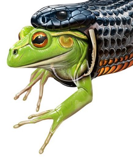 Boss9008Crypto's tweet photo. @yourcryptodj $VNM will make that possible in no time, it will take us beyond mars
We all should check out @VenomCryptoVNM and invest today #Frogkillers https://t.co/lorbTIsh1E